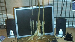 In a Fight Between Candle and Laptop, Candle Usually Wins